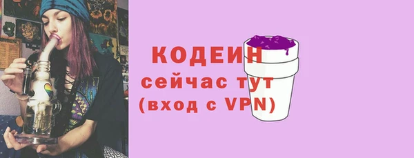 индика Беломорск