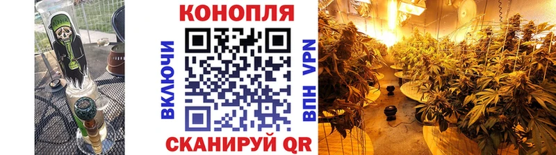 Каннабис MAZAR  наркотики  площадка официальный сайт  Ачхой-Мартан 